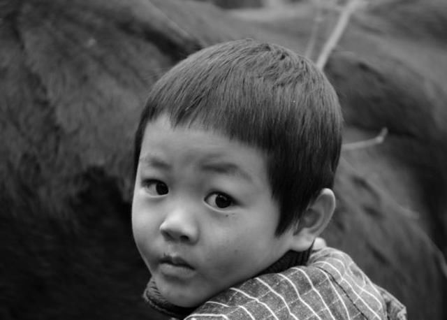 事儿|自费疫苗一针好几百,要不要打?医生:这不是钱的事儿!