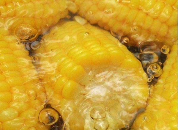 煮完玉米的水，一滴也别倒！留在家中太值钱了，很多人还不清楚