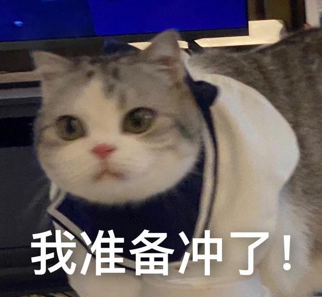 荣耀|王者荣耀：辅助跟手！为什么？因为他需要你！
