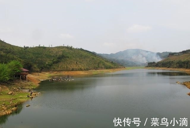 大坝|弄清水底地形,鱼道其实并不难找,找对爆护也真的不难