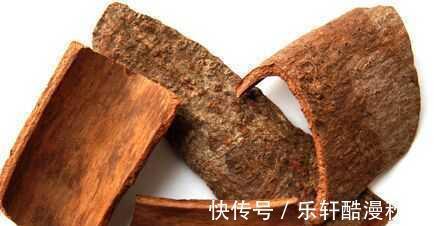 夏季药膳当归山药炖羊肉