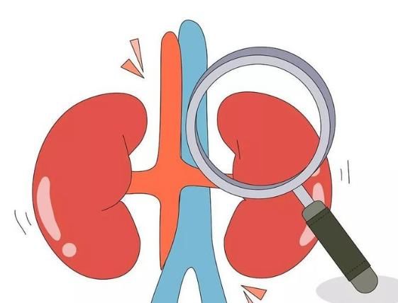 晨起上厕所都有哪些“迹象”，说明“尿酸”已在我们体内结晶了？