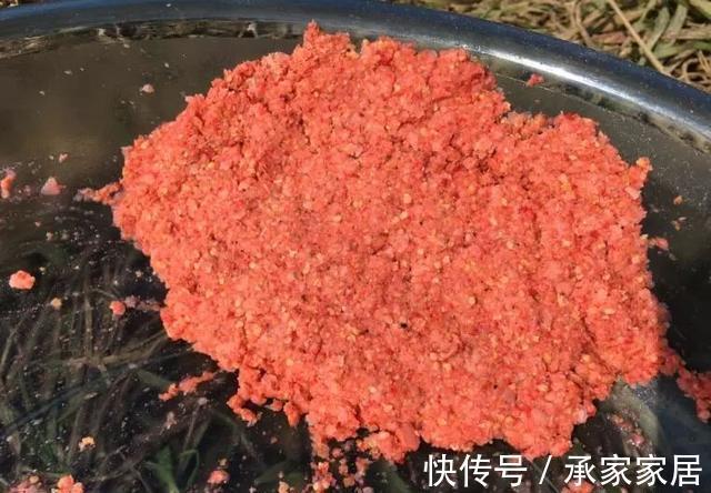 饵料|用“老三样”钓不到鲤鱼？只需要多加一种饵，效果完全不同