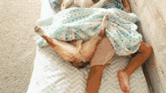 |搞笑GIF:大半夜的,你们要不要这么嗨啊