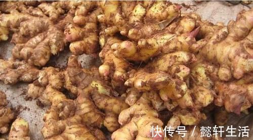 禁忌|吃姜要不要去皮?吃对养生,吃错伤身,3大禁忌,错一个都不行!