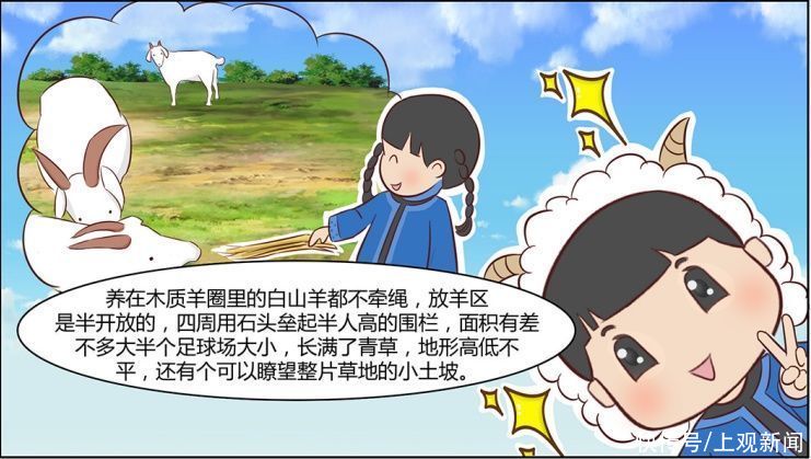 连环漫画|“乌小哈”和“乌小娘”，向你安利崇明开心农场