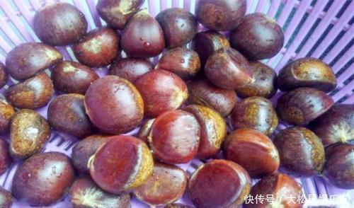 板栗新鲜上市,就该这么保存,不蒸不晒,不起虫发黑,留着冬天吃