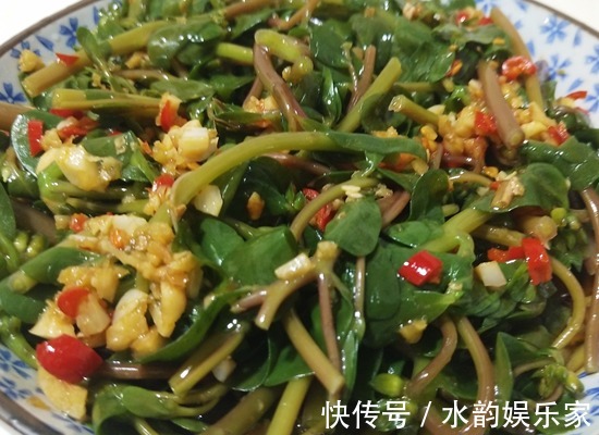 野菜|“天然降压药”终于被找到，早晚吃一点，刮油祛脂，降三高