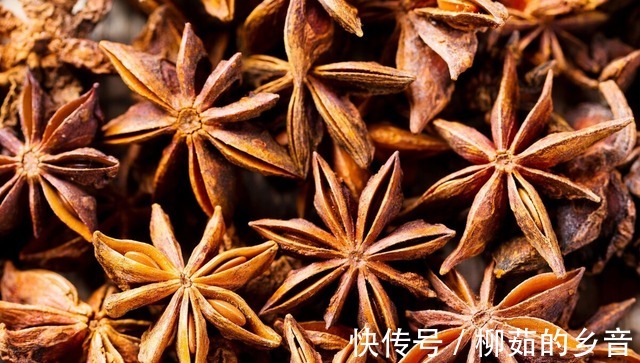 猪肉不花椒羊肉不八角到底是什么意思大厨其实还少说了一句!