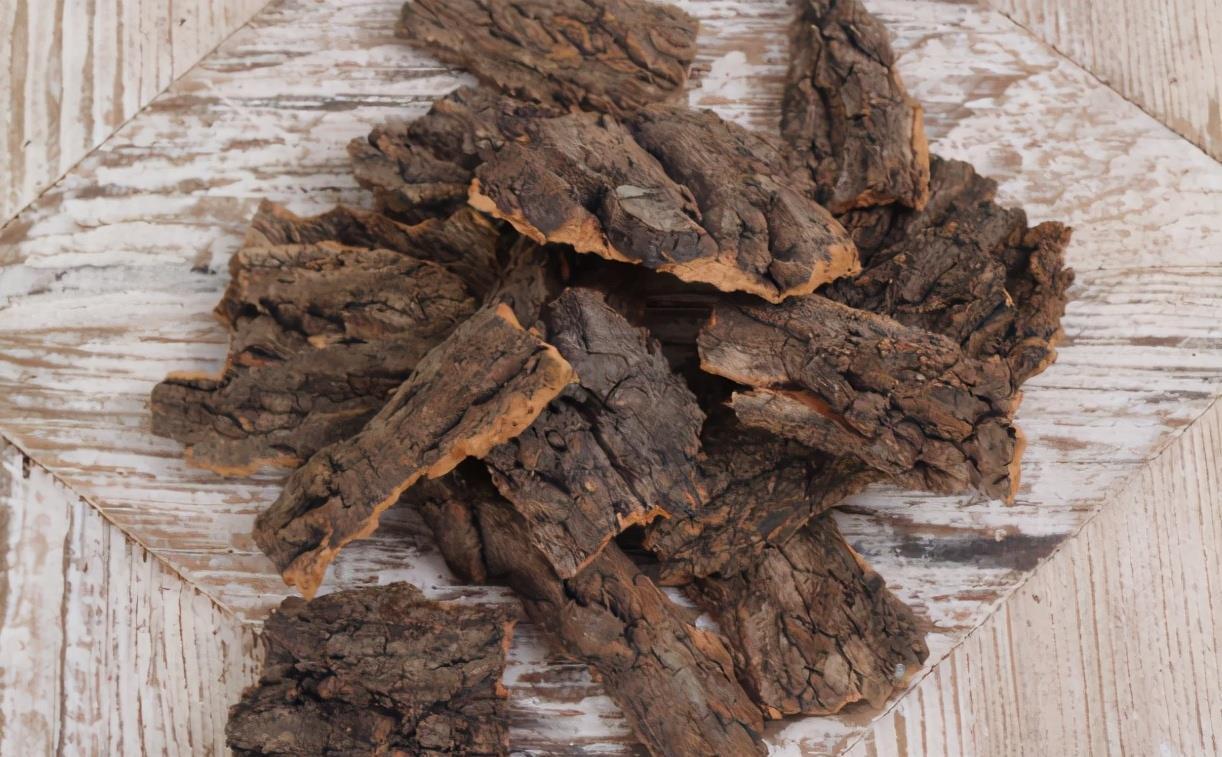 春季换盆“垫底”,十种材料不用花钱买,好用又透气,赶紧去找点