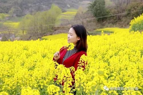 美翻了！徽县千亩花海装扮醉美春天~