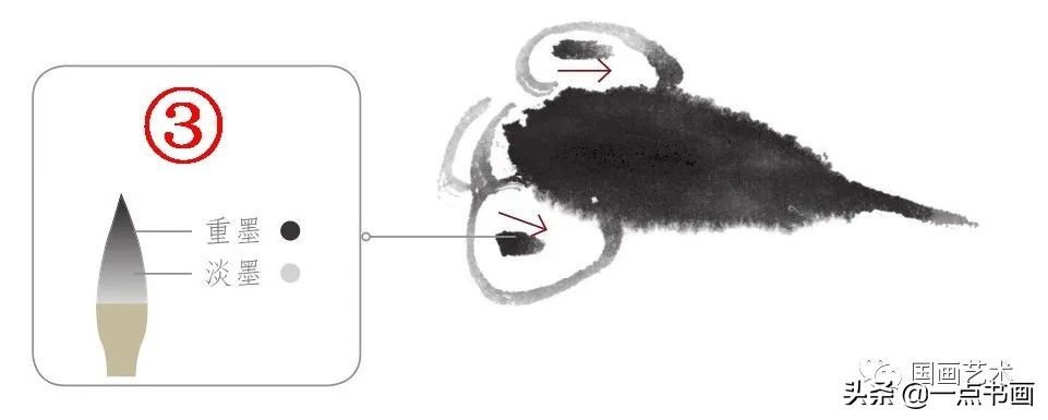 一学就会画荷花金鱼