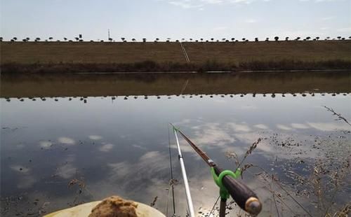 冬季钓鱼，容易爆护的天气汇总，鱼是否开口，天气才是根本