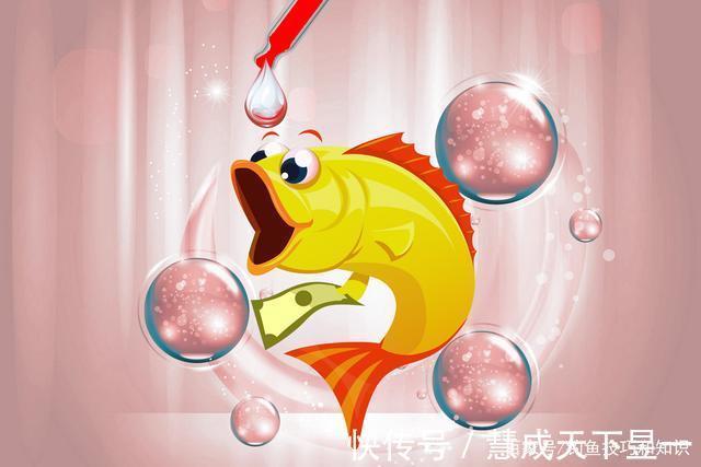 饵料|秋季钓鱼时，鱼口主要受到哪些因素影响秋季钓鱼改善鱼口的方法