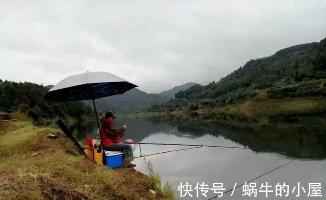 秋雨|秋季钓鱼,一场秋雨一场凉,下雨又降温的天气,鱼应该如何钓?