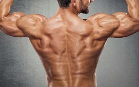 熟练掌握这2个动作,宽大且厚实的背部肌肉,你也能够拥有
