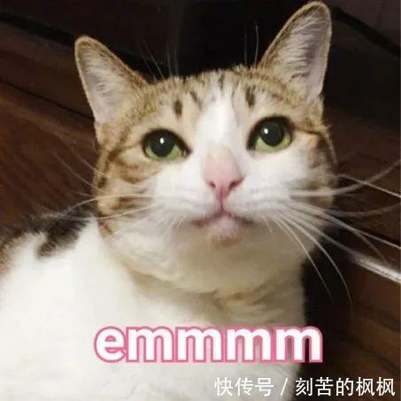 百帕|寒潮到！为何这儿下雪那儿却下雨｜手绘漫画
