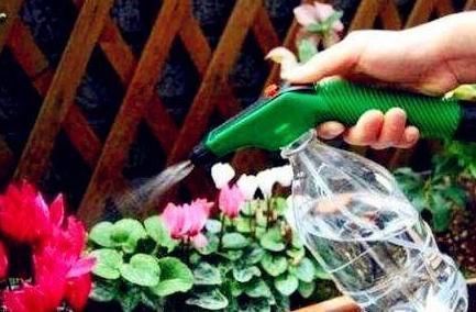 老花匠|养花浇水有讲究,老花匠用3种“套路”,叶片油绿,养1盆爆1盆