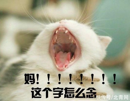 条约|别!喊!妈!了!这位妈妈直接这样做……