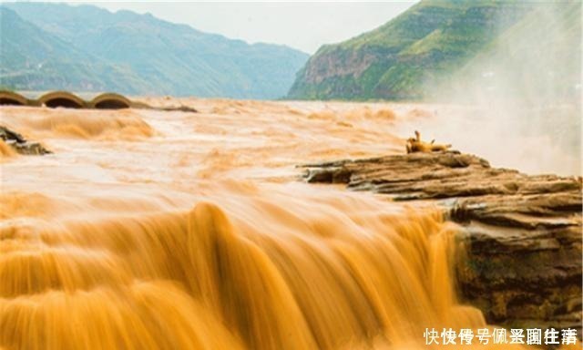 大铁牛|黄河边发现唐朝大铁牛，一千多年过去依然崭新如初，专家啧啧称奇
