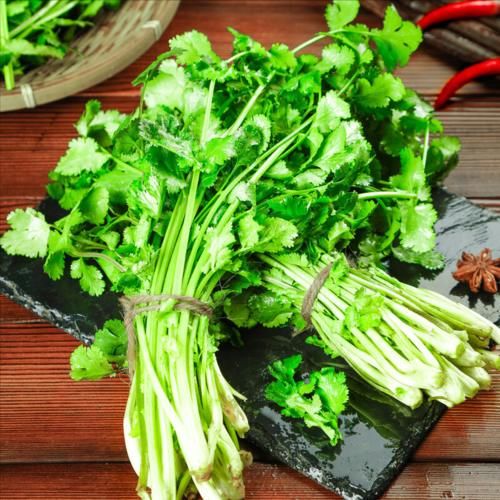 袋子|香菜放进袋子里,保存一年没问题,颜色翠绿不发黄,新鲜不变味