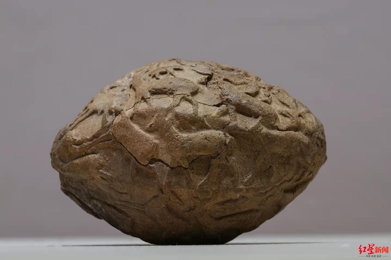 陶球$中国传统财富文化展、叙利亚古代文物展 成都两大展览荣登中博热搜榜