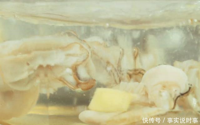 生蚝这样做还是第一次见,鲜嫩爽口,香辣味美,比烤生蚝还好吃