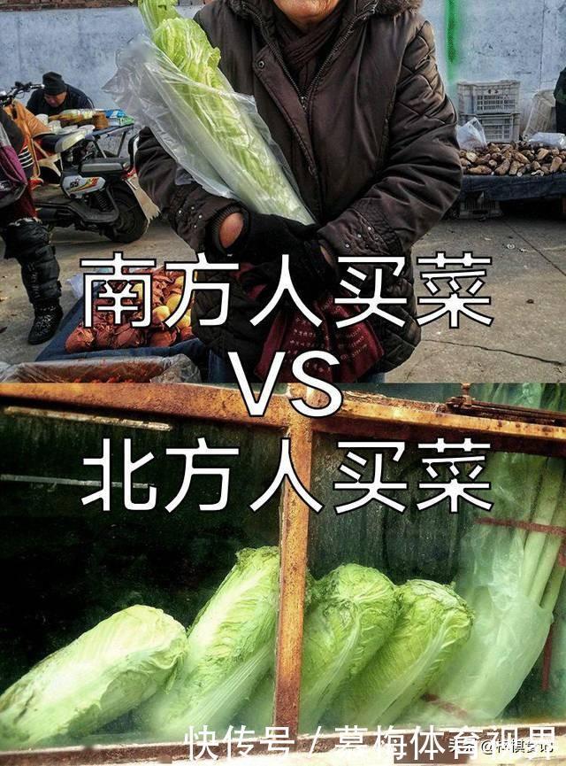  当北方人走进南方菜市场，被热情到了，直呼：这才是买菜的快乐