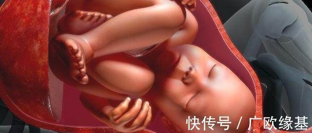 鬼脸|四维彩超做一半,小淘气竟在肚子里干“坏事”,检查后医生都笑了