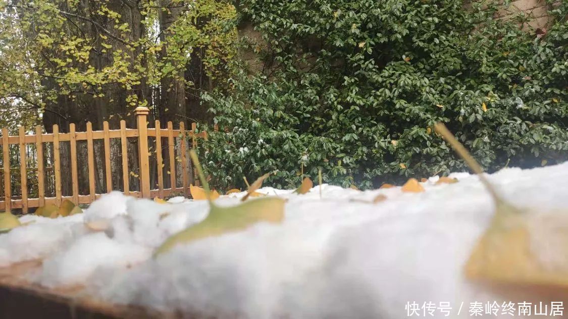 可至|西安秦岭这个峪口开车可至，适合大众爬山赏雪，还有2个免费寺庙和千年银杏