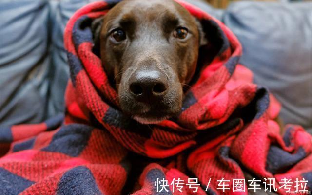 眼袋|健脾“好帮手”已发觉,不是粳米,坚持吃,调和脾胃,脾胃更舒坦