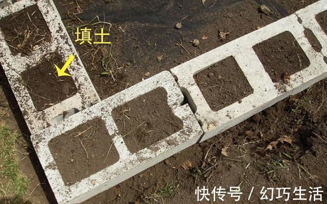 院子|光秃秃院子太浪费,农村老爸用18块空心砖,改造成人见人爱的菜园