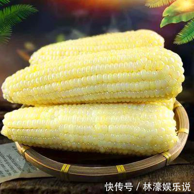 白色玉|一样是玉米,“黄色”和“白色”哪个更营养知道以后别再乱买了