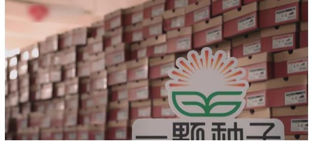 谢霆锋为春节保姆送上团圆惊喜，共享生活的幸福味道