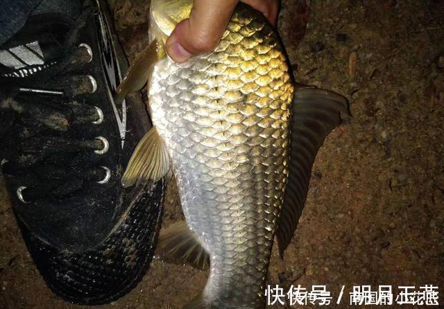 蓑笠哥|冬钓大板鲫自制窝料配方，成本低效果不错，制作特别简单