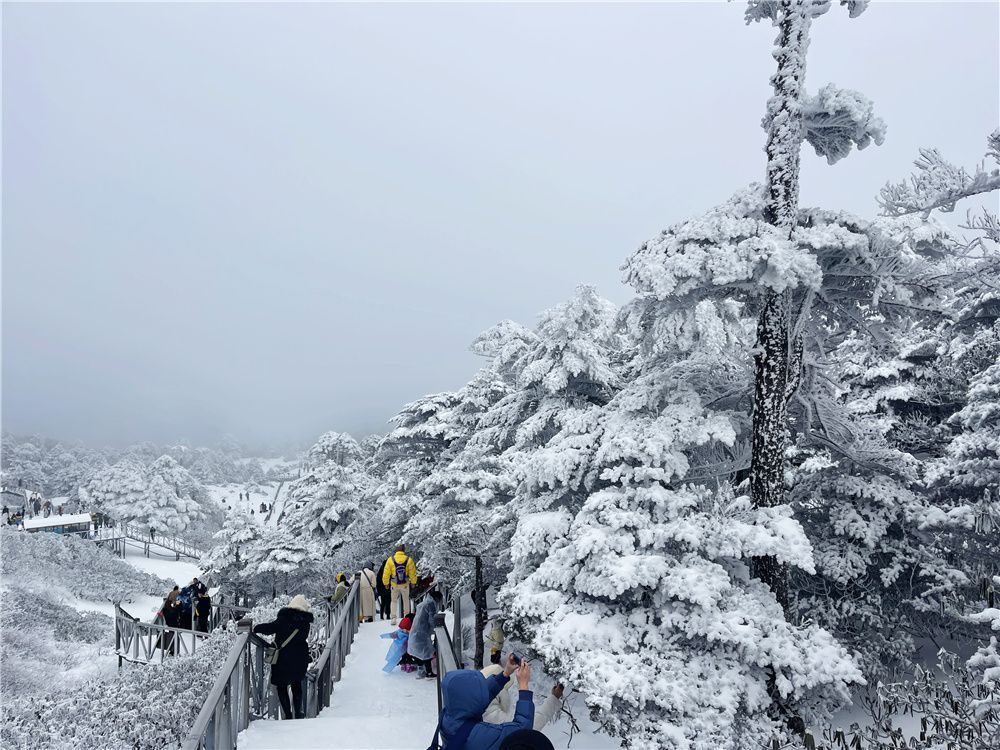 文旅|【关注】虎年春节，大理文旅市场亮点纷呈