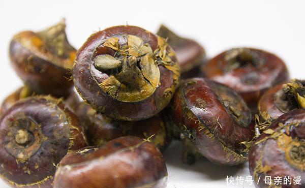 肺不好,经常吃点养肺菜,多喝2种水,肺或能日渐变好