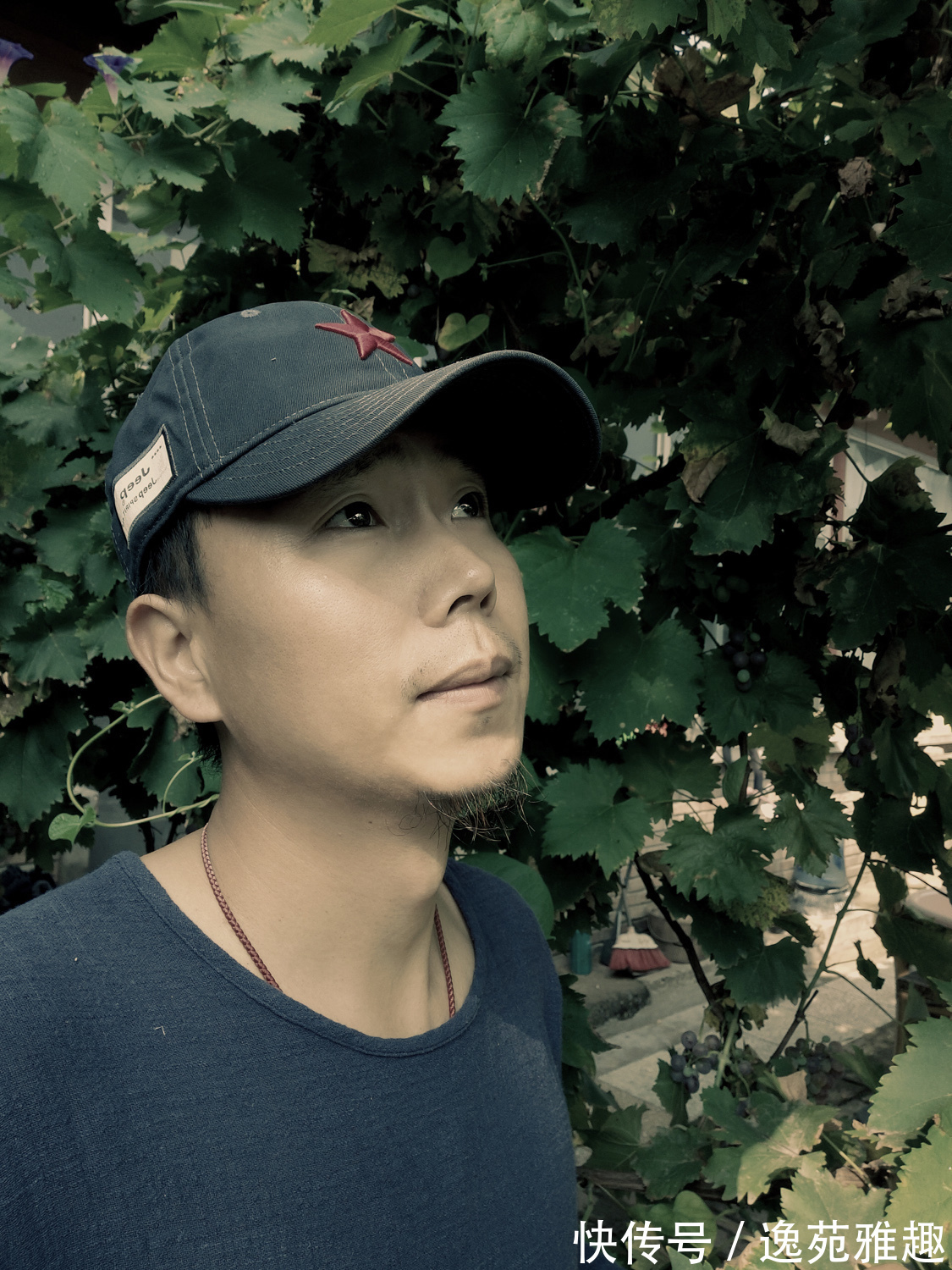 大气|「画作欣赏」海纳百川养大气,大胆豪放有格局!画家丰伟作品欣赏