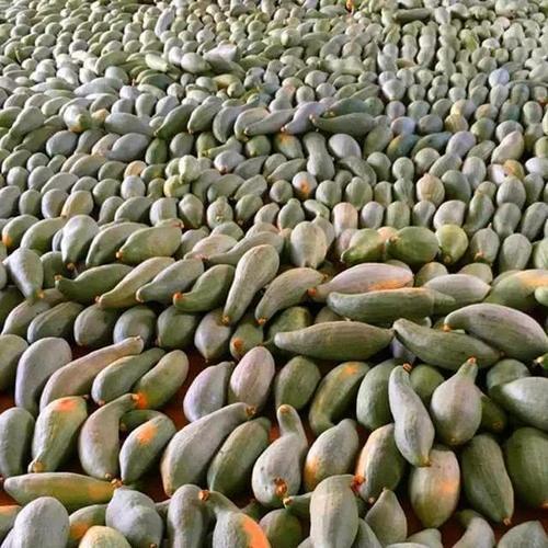 人人|建议大家:少吃瓜子花生,开春多吃这几样,精神十足,人人吃得起