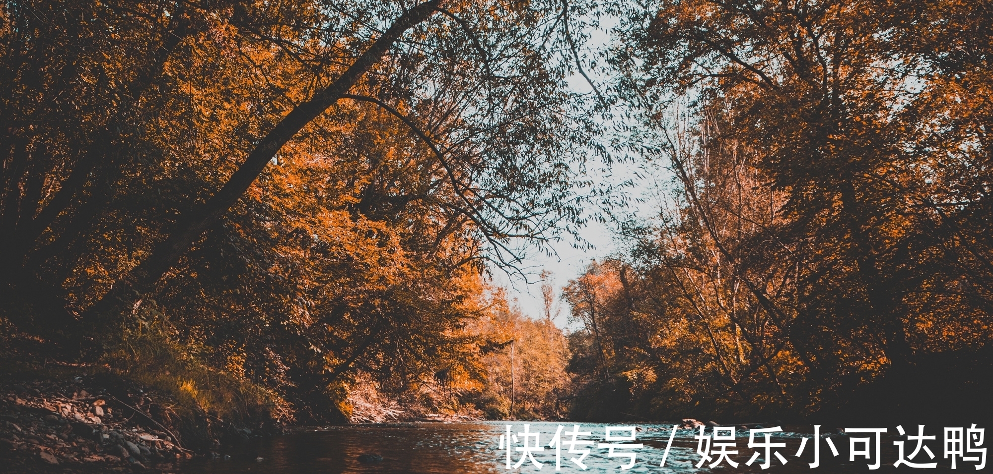 断云!诗词/七律《无题》