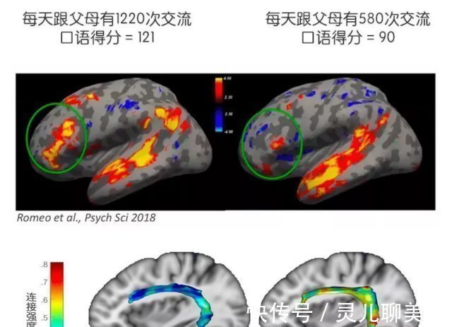 大脑|孩子总是学习差,父母错过孩子大脑发育黄金期,却逼孩子加倍努力
