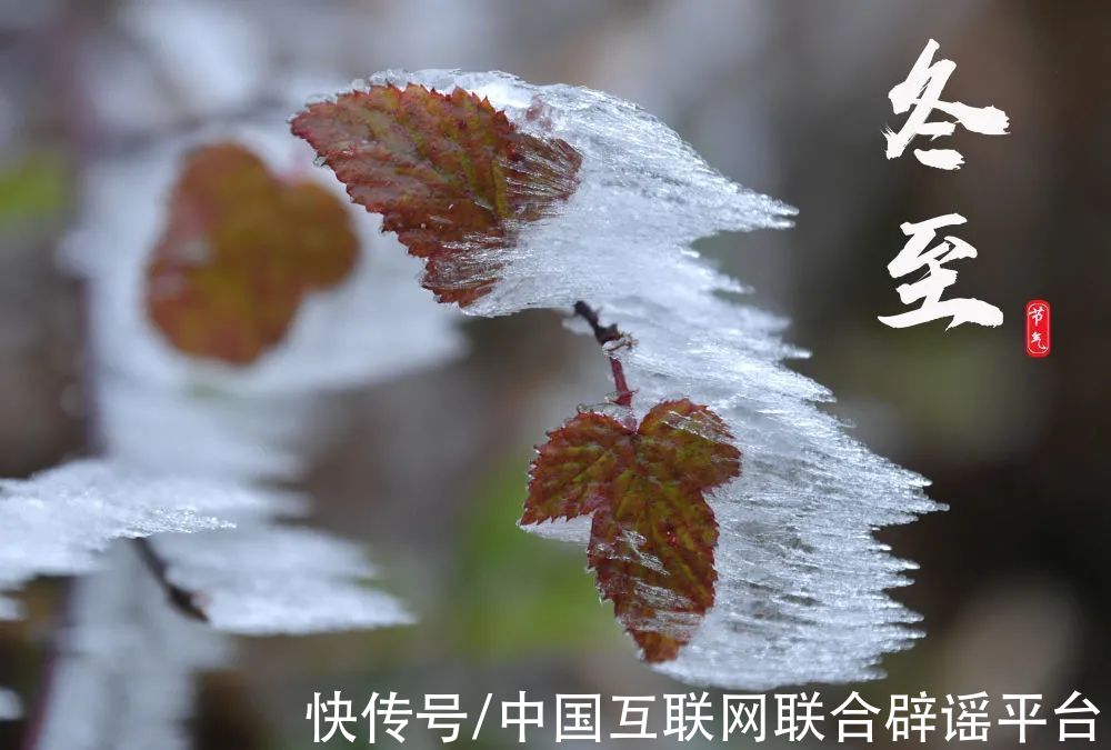 进补|今日冬至丨“数九寒天”始，养生有讲究