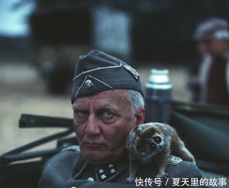 残酷|没看过本片，就别说自己懂二战