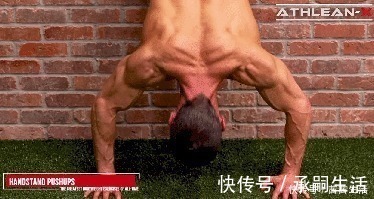 引体向上|66个自重训练动作，在家就能练全身肌肉，赶紧收藏