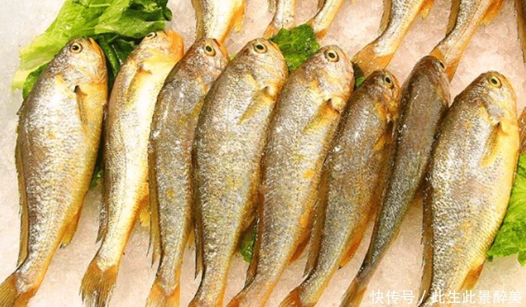 鱼肉|这6种海鱼既便宜又好吃，海鲜摊主看来是吃鱼的行家！