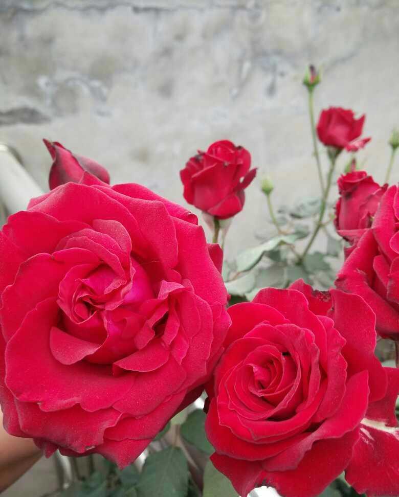 馒头|远嫁北方农村,婆家的婚房让我哭笑不得,卧室没床,厨房谁见过?