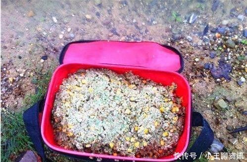 渔获|你钓鱼是怎样打窝的要是打窝的方法不正确，打再多也钓不上鱼