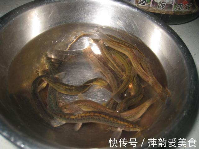 健康|泥鳅要不要掏内脏？很多人搞不明白，为了家人的健康，不妨看一看
