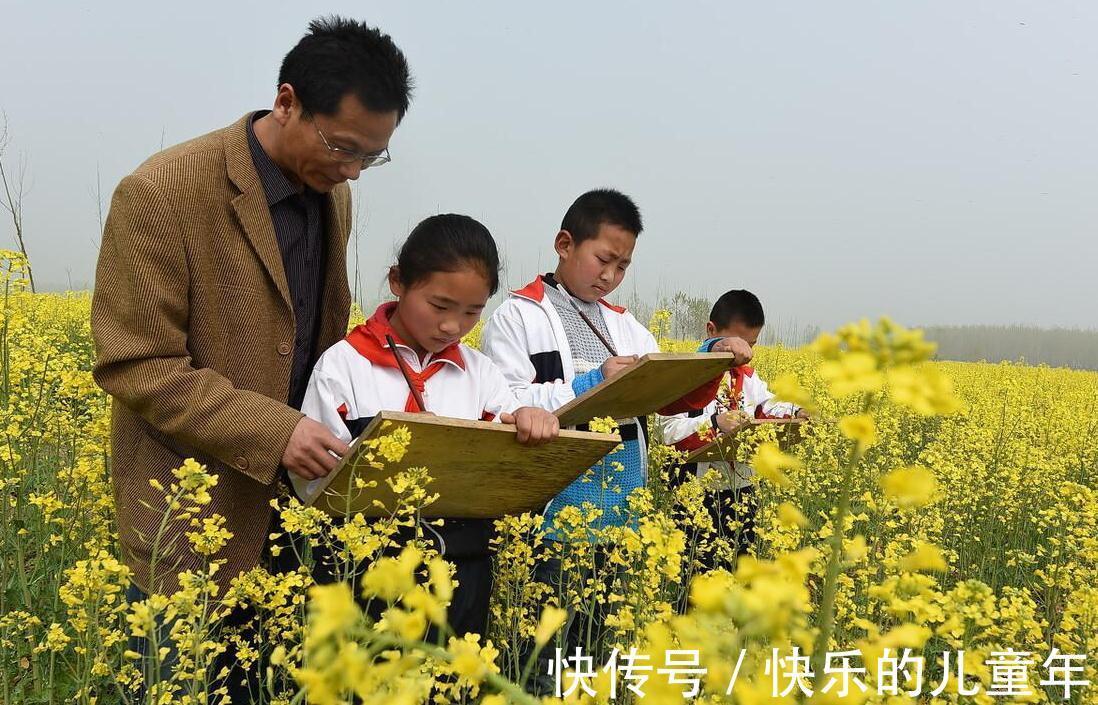 大自然|孩子生活单调两点一线，父母用自然教育，娃受益良多