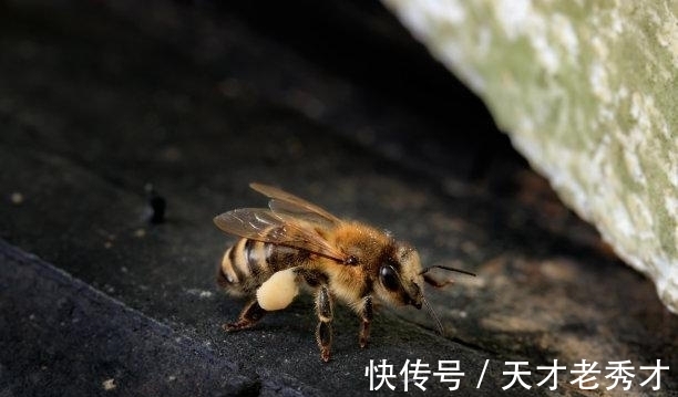 芳心|本周结束，希望是你，海誓山盟，重逢拥抱，赢得芳心，私定终身